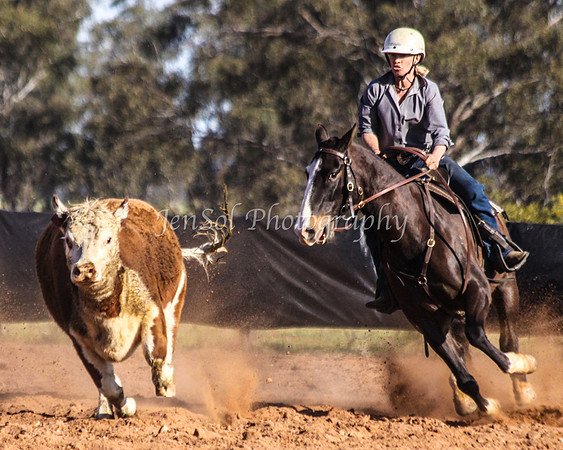 Wwyalong0885