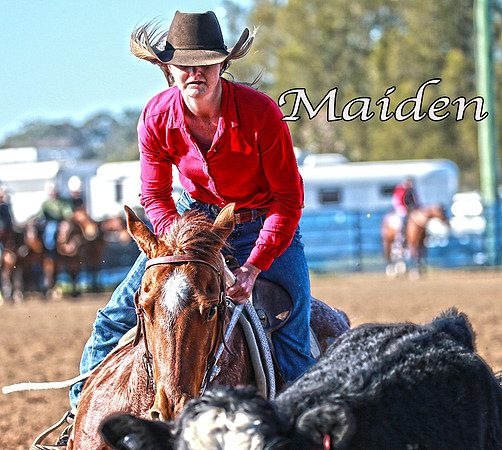 Maiden_5240