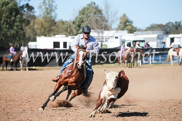 CCCampdraft2016_5839