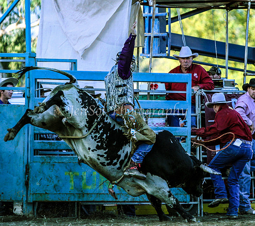Tumut3_0024