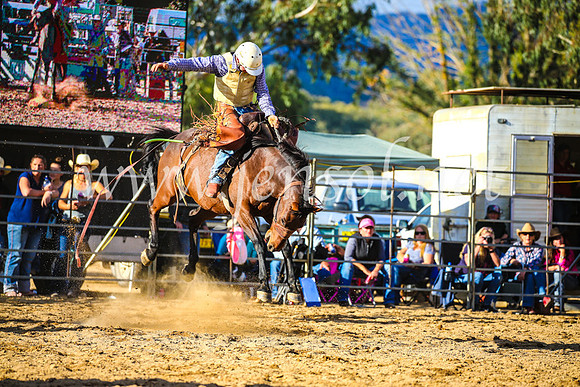 TumutRodeo2017_2445