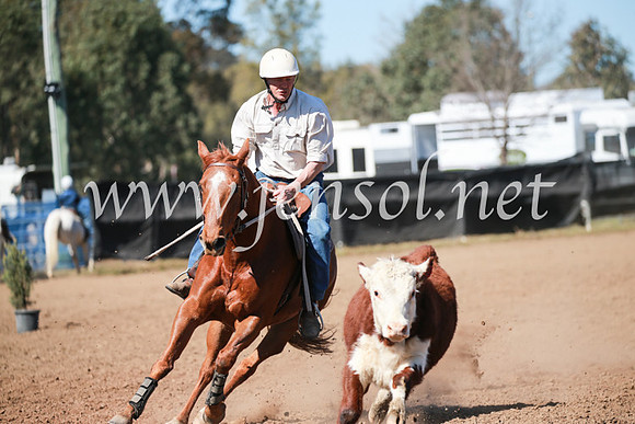 CCCampdraft2016_5813