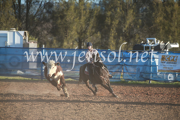 CCCampdraft2016_6832