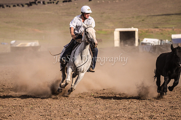 IMG_0221CabFri