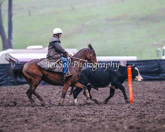 CabanandraCampdraft2014_3843