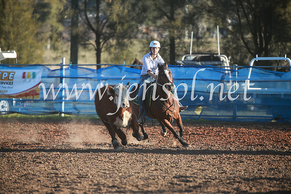 CCCampdraft2016_6820
