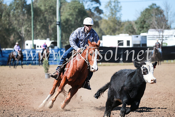 CCCampdraft2016_5651