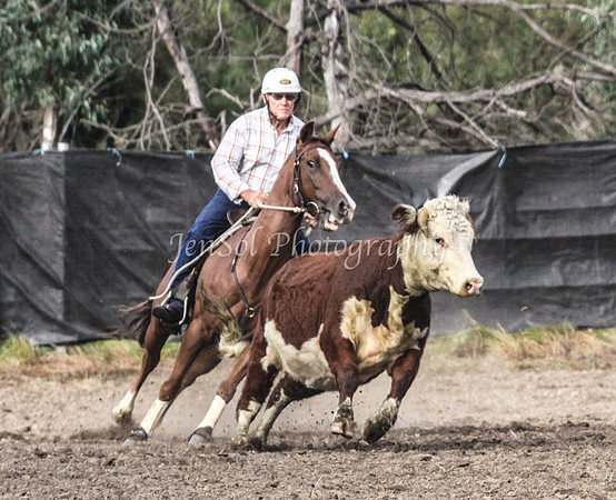 GundiOpen1_0067