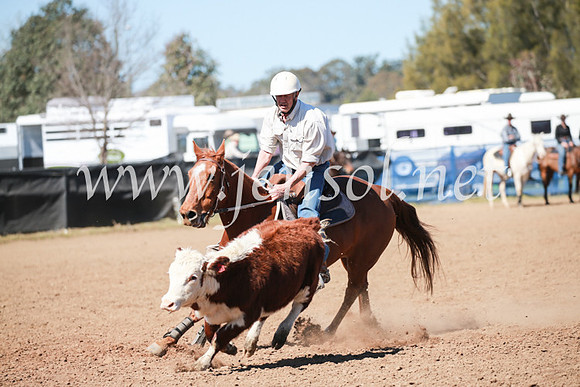 CCCampdraft2016_5815
