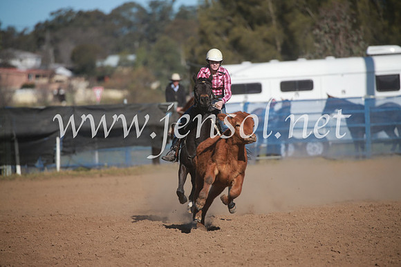 CCCampdraft2016_6241