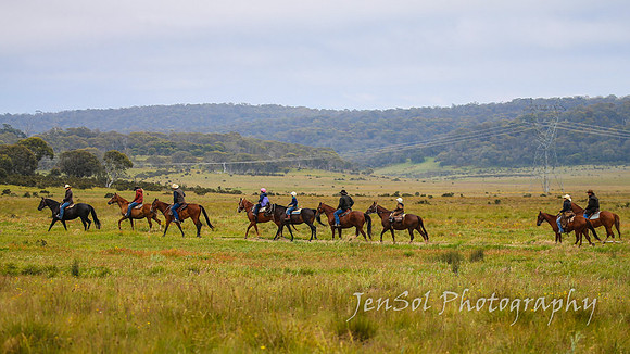 Brumbies27122021_0081