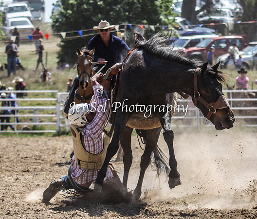 Bungendore2011_0374