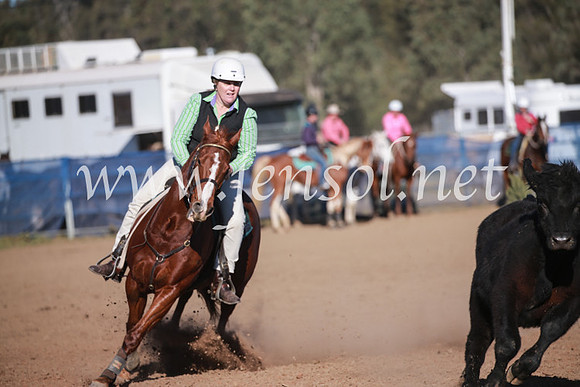 CCCampdraft2016_6424