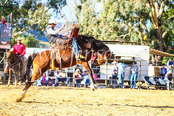 TumutRodeo2017_2376