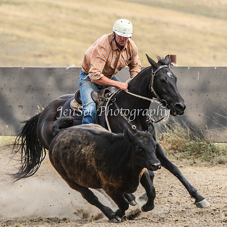 AdaminabyCampdraftSun2015_3499
