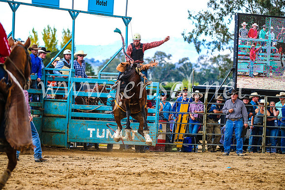 TumutRodeo2017_1497