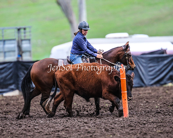 CabanandraCampdraft2014_2701