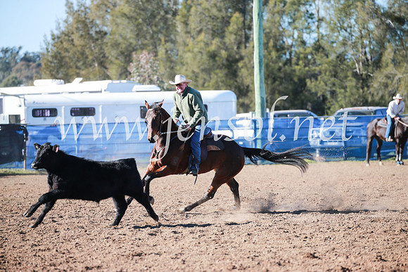 CCCampdraft2016_5234