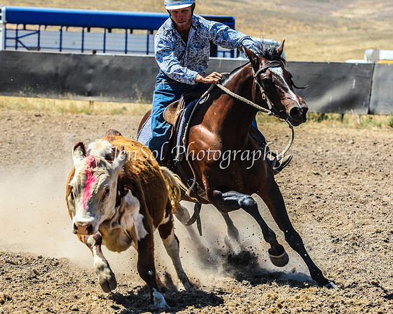 AdaminabyCampdraft2015_0249