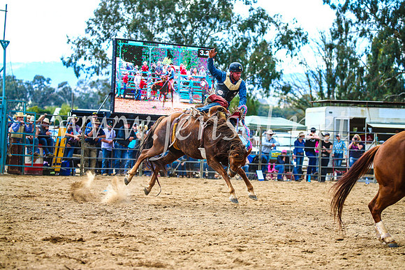 TumutRodeo2017_1397