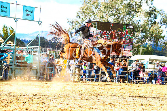 TumutRodeo2017_1589