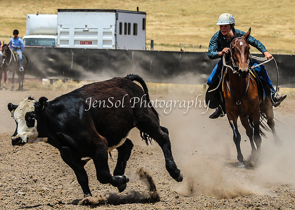 AdaminabyCampdraftSun2015_3220