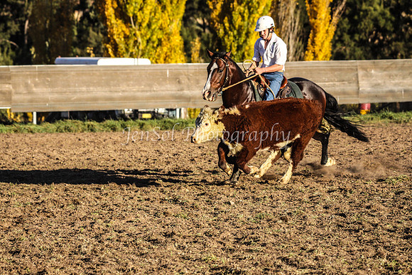 IMG_0255Jugiong2