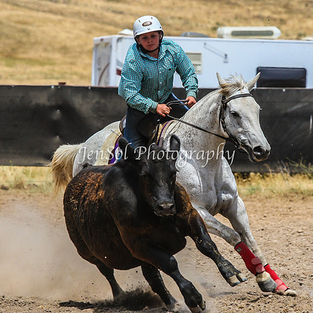 AdaminabyCampdraftSun2015_3265
