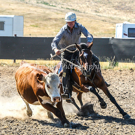 AdaminabyCampdraft2015_0153