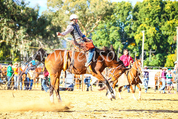 TumutRodeo2017_2374