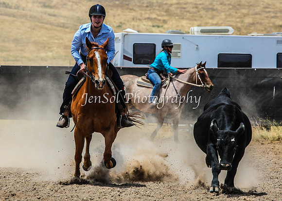 AdaminabyCampdraftSun2015_3119