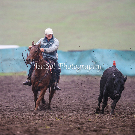 CabanandraCampdraft2014_3404