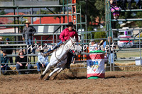 QueanbeyanRodeo2015_0023