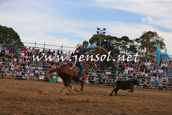 QueanbeyanRodeo2015_2826