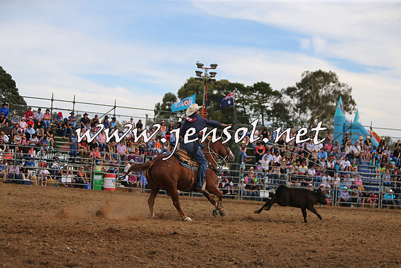 QueanbeyanRodeo2015_2825