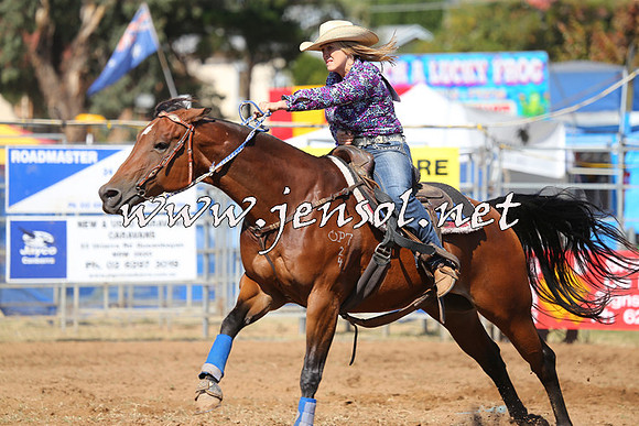QueanbeyanRodeo2015_0229