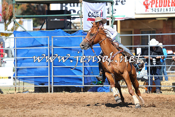QueanbeyanRodeo2015_0154
