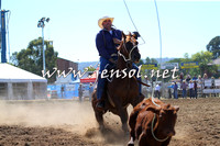 QueanbeyanRodeo2015_0953