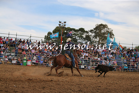 QueanbeyanRodeo2015_2827
