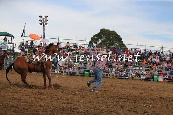 QueanbeyanRodeo2015_2832