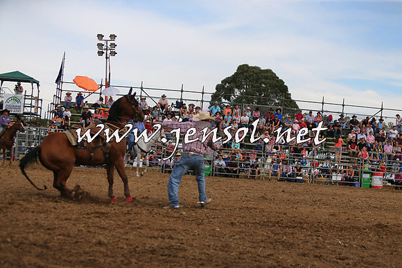 QueanbeyanRodeo2015_2831
