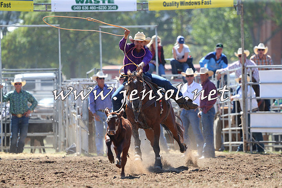 QueanbeyanRodeo2015_0929