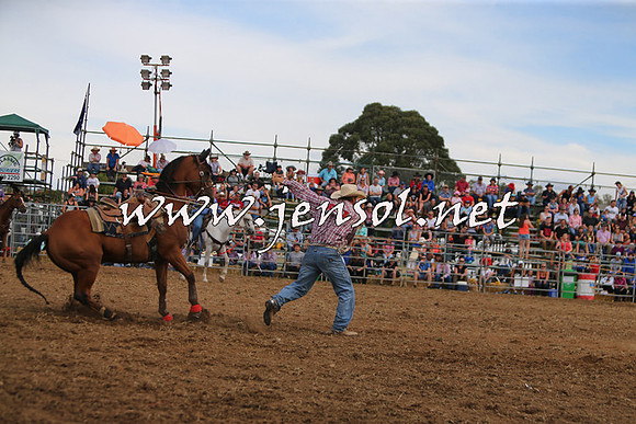QueanbeyanRodeo2015_2830