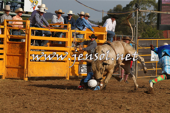 QueanbeyanRodeo2015_3586