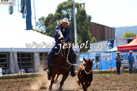 QueanbeyanRodeo2015_0949