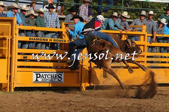 QueanbeyanRodeo2015_3622