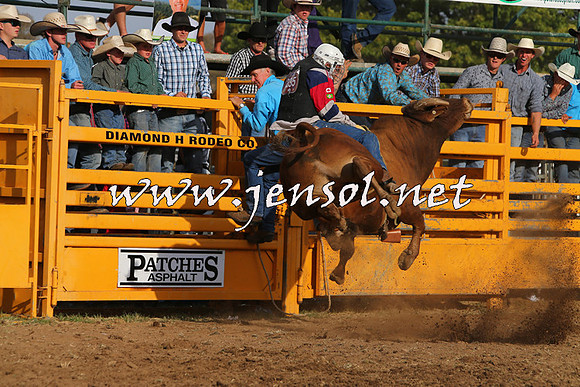 QueanbeyanRodeo2015_3623