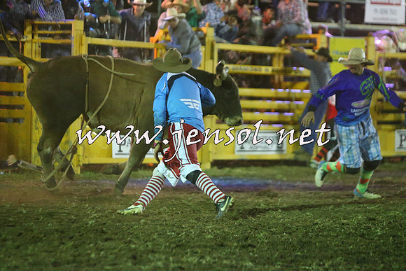 QueanbeyanRodeo2015_4665