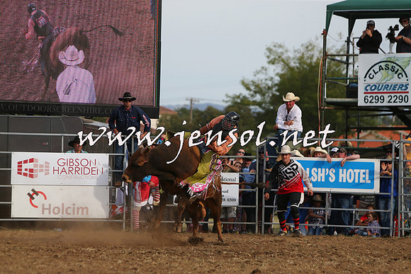 QueanbeyanRodeo2015_3433
