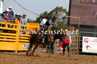 QueanbeyanRodeo2015_3371